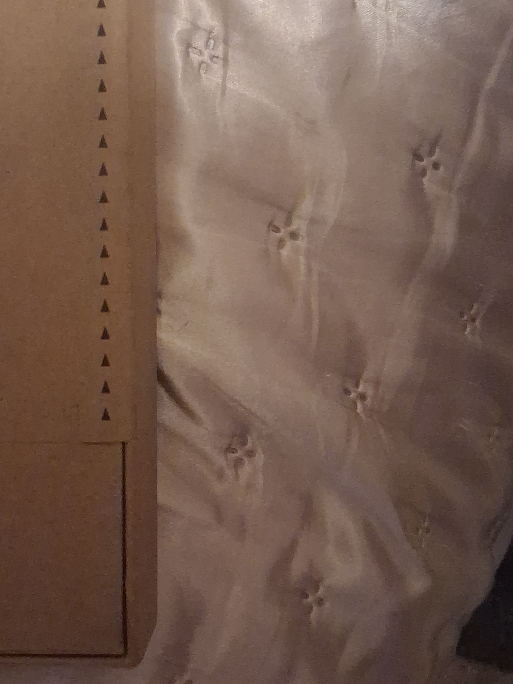 Kindle Scribe - Picture 4 of 4